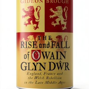 I.B. Tauris Welsh History eBook English Edition 431 Pages-0