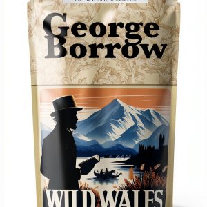 Wales History Travel Guide Kindle eBook English Language-0