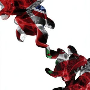 Biteback Publishing Kindle eBook History of Wales 290 Pages-0