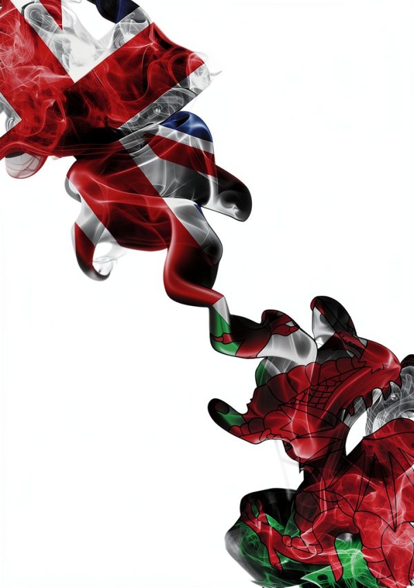 Biteback Publishing Kindle eBook History of Wales 290 Pages-0