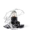 Dogary DB1601 Dashboard Light Bulb 5 PCS White High Brightness-2
